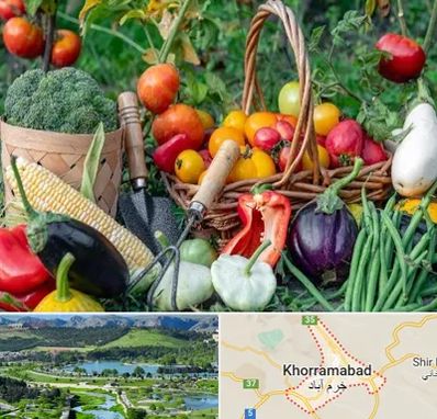 فروشگاه لوازم کشاورزی در خرم آباد