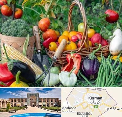 فروشگاه لوازم کشاورزی در کرمان