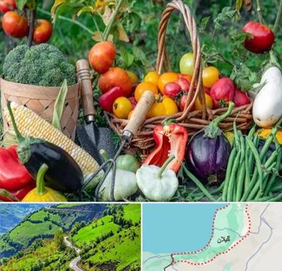 فروشگاه لوازم کشاورزی در گیلان