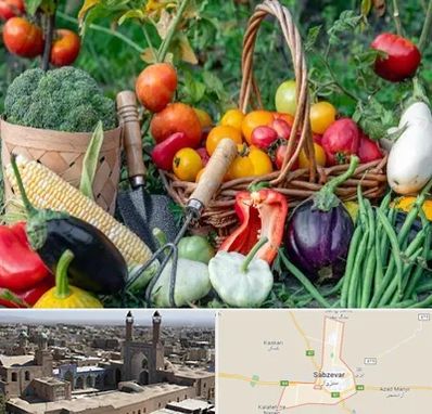 فروشگاه لوازم کشاورزی در سبزوار