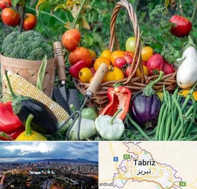 فروشگاه لوازم کشاورزی در تبریز