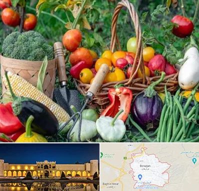 فروشگاه لوازم کشاورزی در برازجان