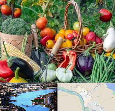 فروشگاه لوازم کشاورزی در خرمشهر