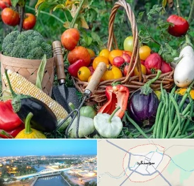 فروشگاه لوازم کشاورزی در سوسنگرد