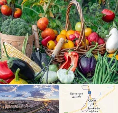 فروشگاه لوازم کشاورزی در قم