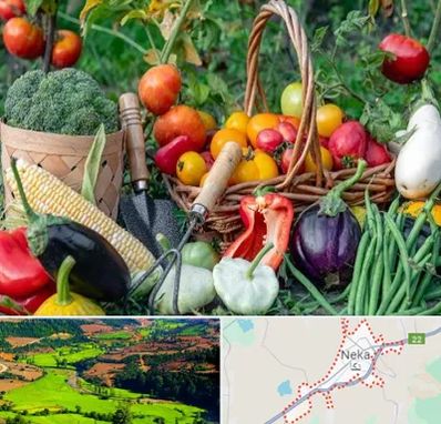 فروشگاه لوازم کشاورزی در نکا