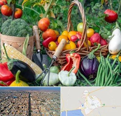 فروشگاه لوازم کشاورزی در بندر ماهشهر