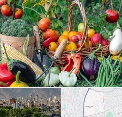 فروشگاه لوازم کشاورزی در جمشیدیه