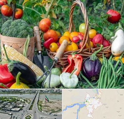 فروشگاه لوازم کشاورزی در میاندوآب