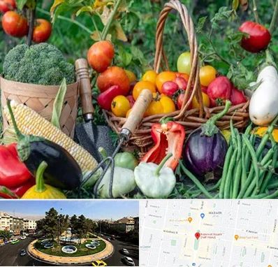 فروشگاه لوازم کشاورزی در هفت حوض 