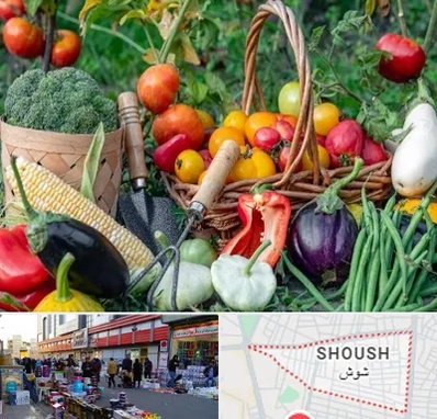 فروشگاه لوازم کشاورزی در شوش