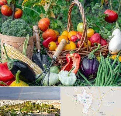 فروشگاه لوازم کشاورزی در تربت حیدریه