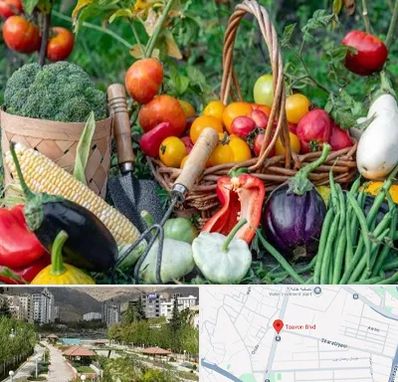 فروشگاه لوازم کشاورزی در بلوار تعاون