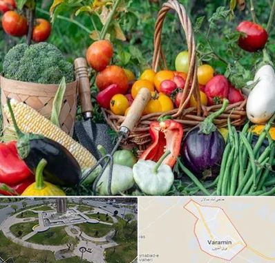 فروشگاه لوازم کشاورزی در ورامین