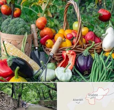 فروشگاه لوازم کشاورزی در شاندیز مشهد