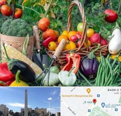 فروشگاه لوازم کشاورزی در فلکه گاز شیراز 