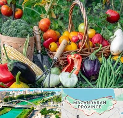 فروشگاه لوازم کشاورزی در مازندران