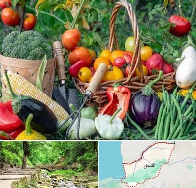 فروشگاه لوازم کشاورزی در گلستان