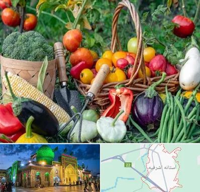 فروشگاه لوازم کشاورزی در آستانه اشرفیه