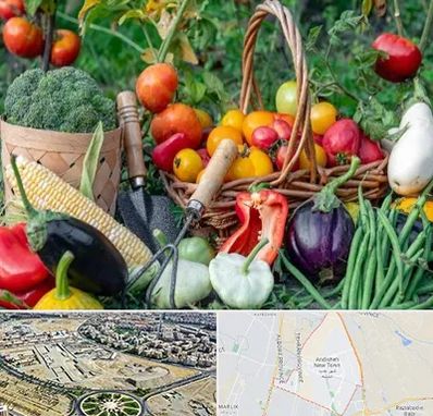 فروشگاه لوازم کشاورزی در اندیشه