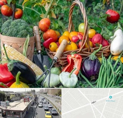 فروشگاه لوازم کشاورزی در خیابان دماوند