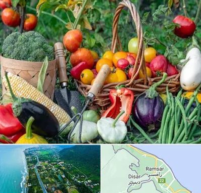 فروشگاه لوازم کشاورزی در رامسر