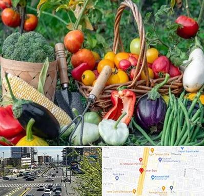 فروشگاه لوازم کشاورزی در ستاری 