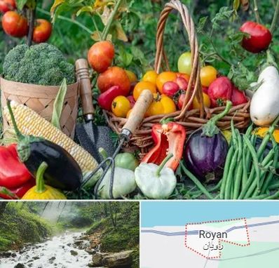 فروشگاه لوازم کشاورزی در رویان