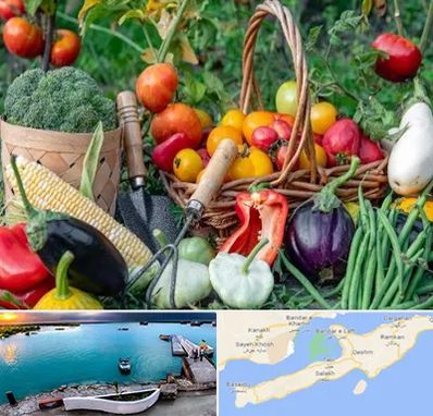 فروشگاه لوازم کشاورزی در قشم