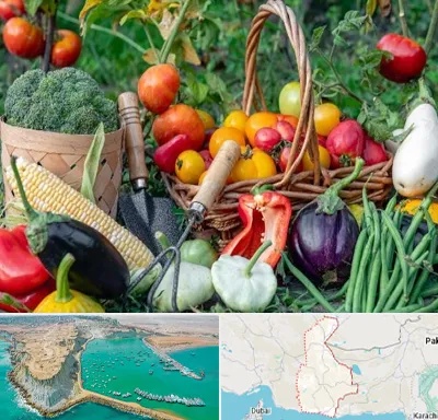فروشگاه لوازم کشاورزی در سیستان و بلوچستان