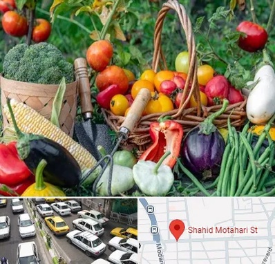 فروشگاه لوازم کشاورزی در مطهری تهران