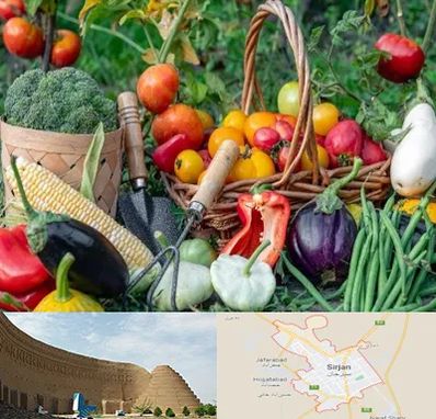 فروشگاه لوازم کشاورزی در سیرجان