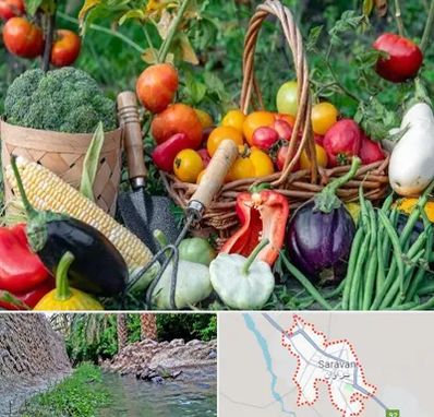 فروشگاه لوازم کشاورزی در سراوان