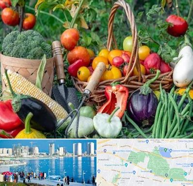 فروشگاه لوازم کشاورزی در چیتگر 