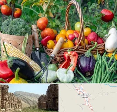 فروشگاه لوازم کشاورزی در مسجد سلیمان