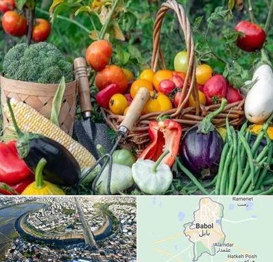 فروشگاه لوازم کشاورزی در بابل