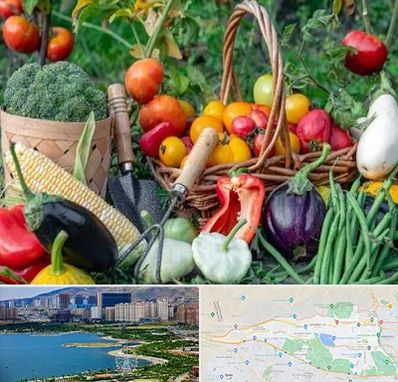 فروشگاه لوازم کشاورزی در منطقه 22 تهران 