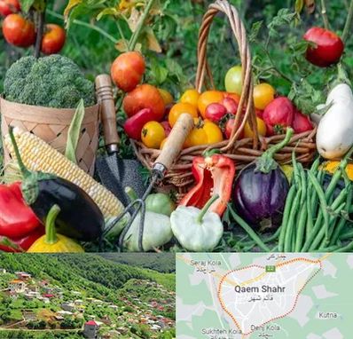 فروشگاه لوازم کشاورزی در قائم شهر