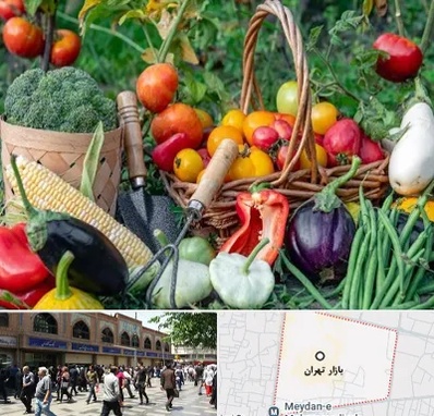 فروشگاه لوازم کشاورزی در بازار تهران