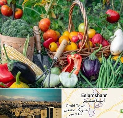 فروشگاه لوازم کشاورزی در اسلامشهر