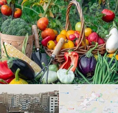 فروشگاه لوازم کشاورزی در محمد شهر کرج 