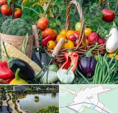 فروشگاه لوازم کشاورزی در لنگرود