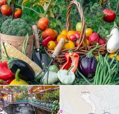 فروشگاه لوازم کشاورزی در درکه