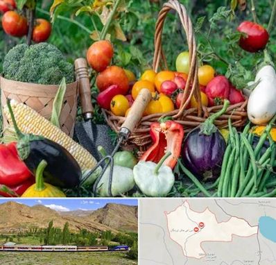 فروشگاه لوازم کشاورزی در خاش