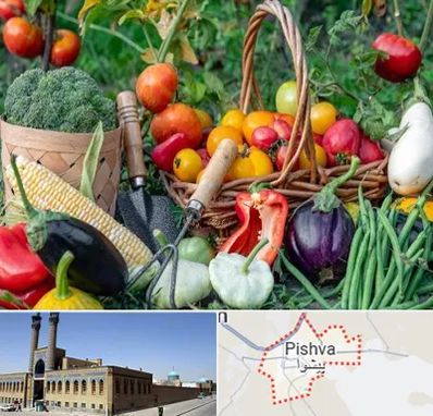 فروشگاه لوازم کشاورزی در پیشوا