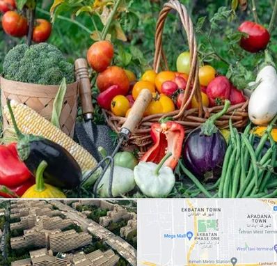 فروشگاه لوازم کشاورزی در اکباتان 