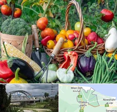 فروشگاه لوازم کشاورزی در چالوس