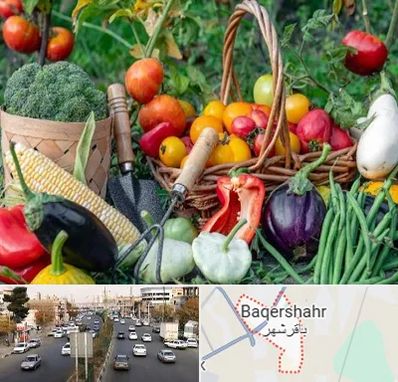 فروشگاه لوازم کشاورزی در باقرشهر