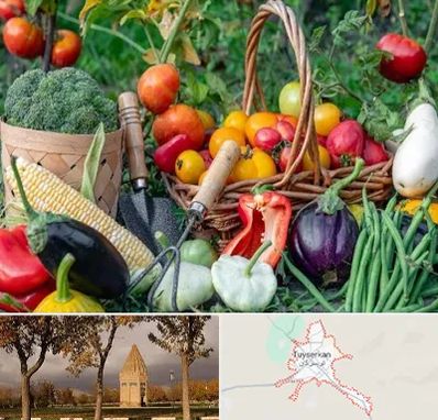 فروشگاه لوازم کشاورزی در تویسرکان