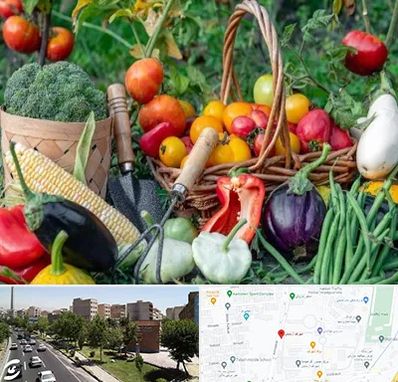 فروشگاه لوازم کشاورزی در شهرک آزمایش 